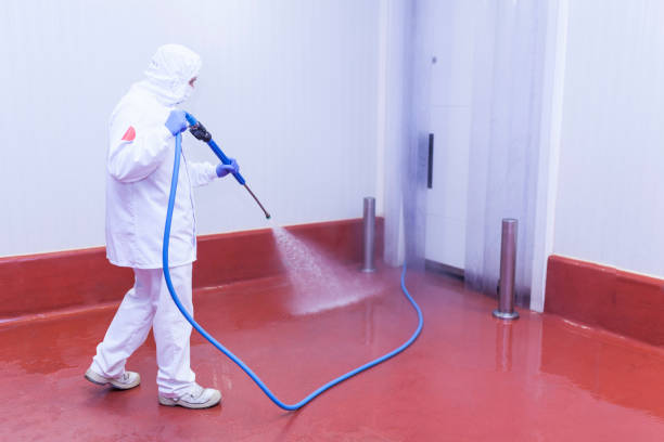 Animal Enclosure Cleaning in Montesano, WA