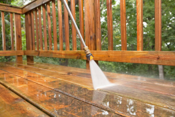 Best Roof Washing  in Montesano, WA